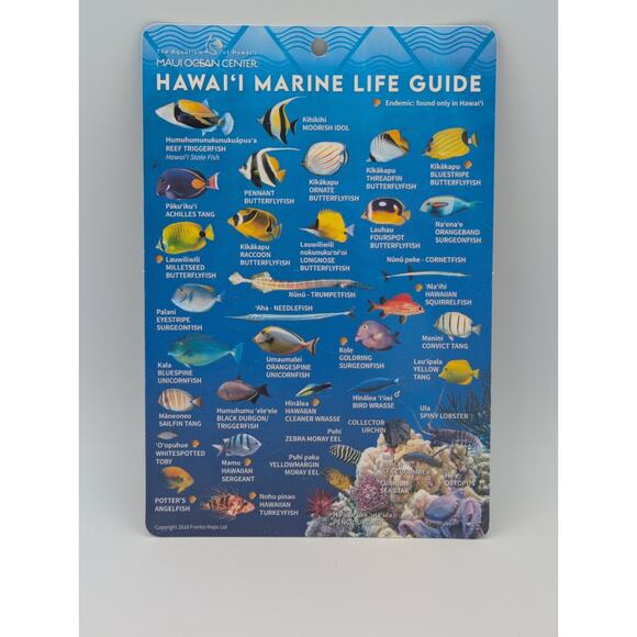 Hawaii Marine Life Guide Card from Maui Ocean Center Waterproof Fish ID - Picture 1 of 2